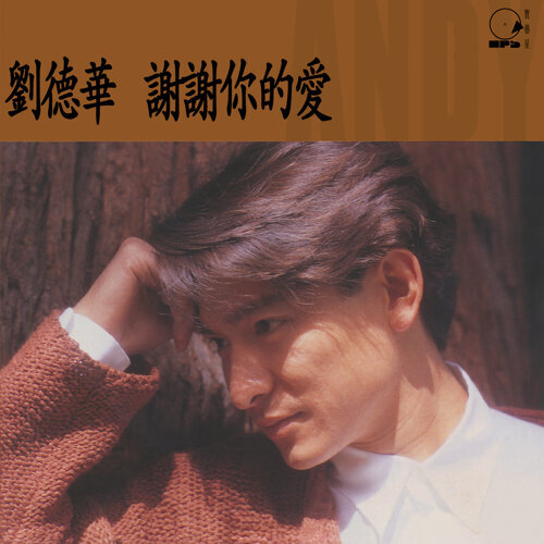 刘德华 - 浪淘沙