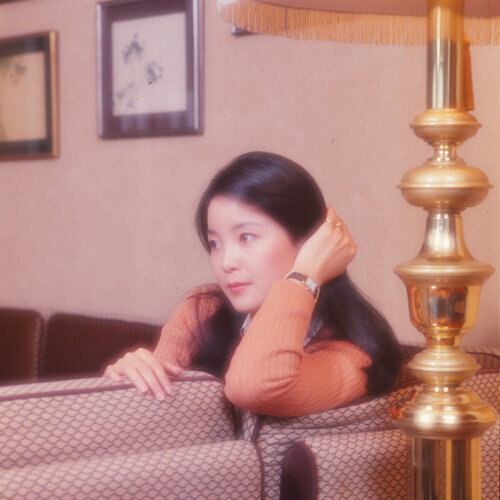 邓丽君 - 月亮代表我的心