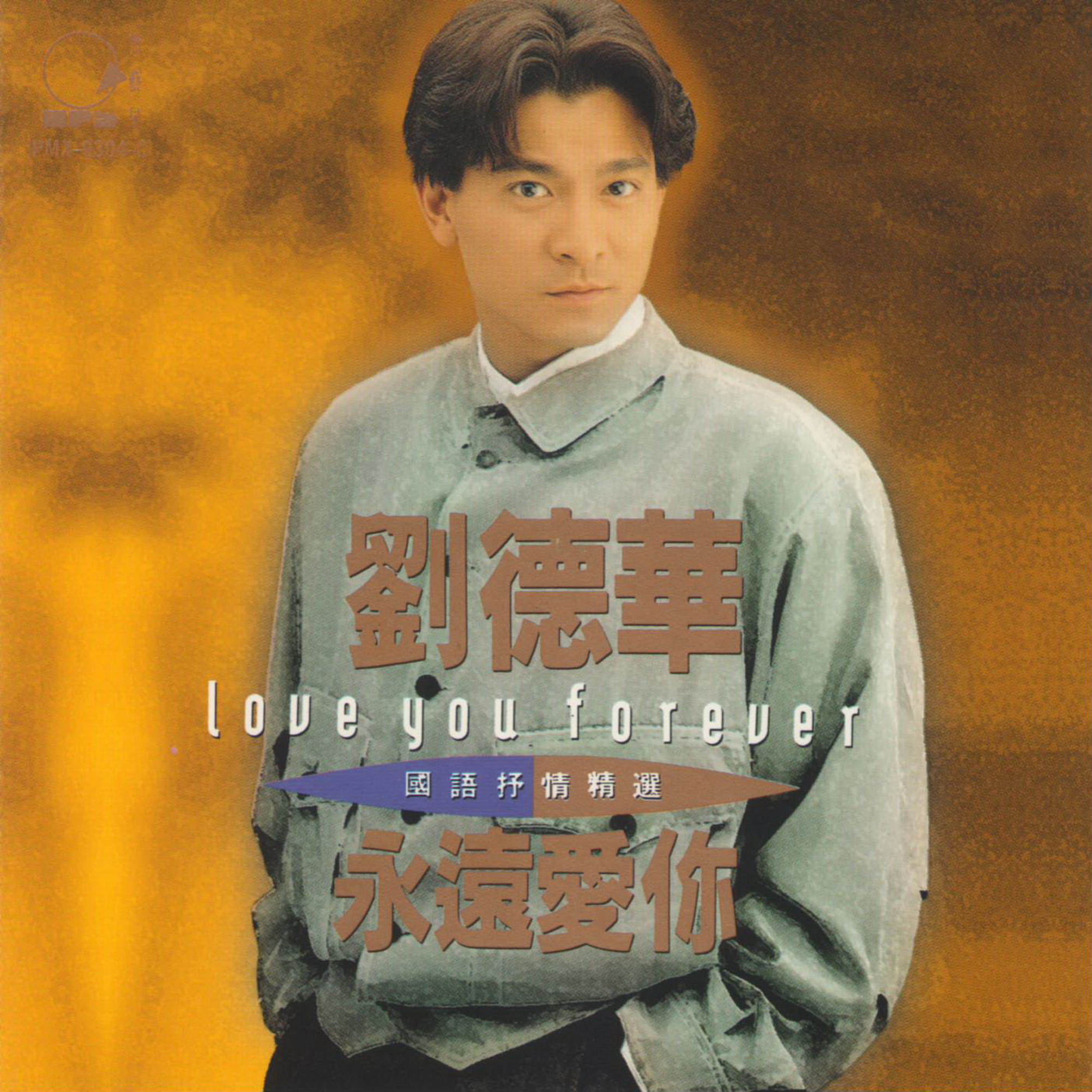 刘德华 - 来生缘